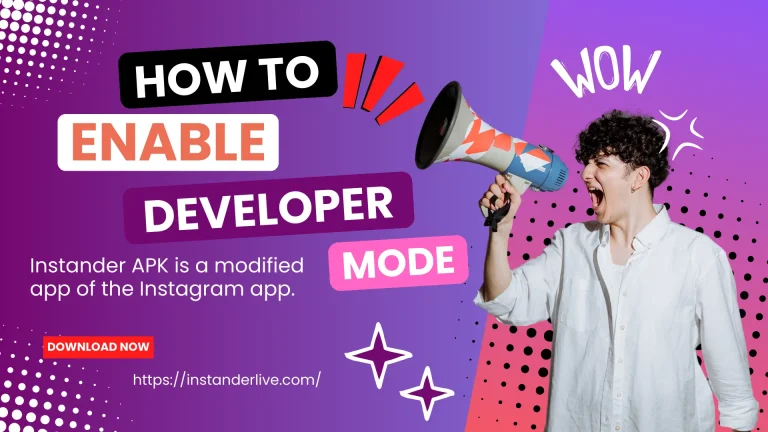 Instander Developer Mode